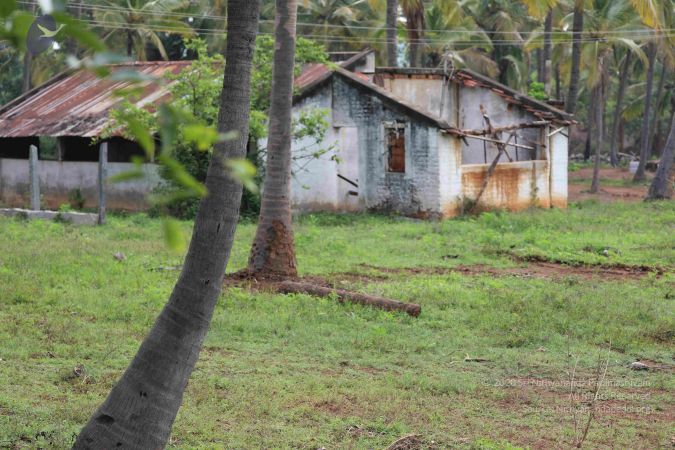 20180522 Photo 1016 1TwPtkWFdk8ZuGUiwkUqC 1T3iX5EHhsI.JPG