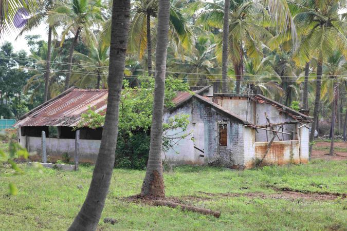 20180522 Photo 1059 1-iW62DCH96GK1ZRuXJakqemmO83tmhjq.JPG