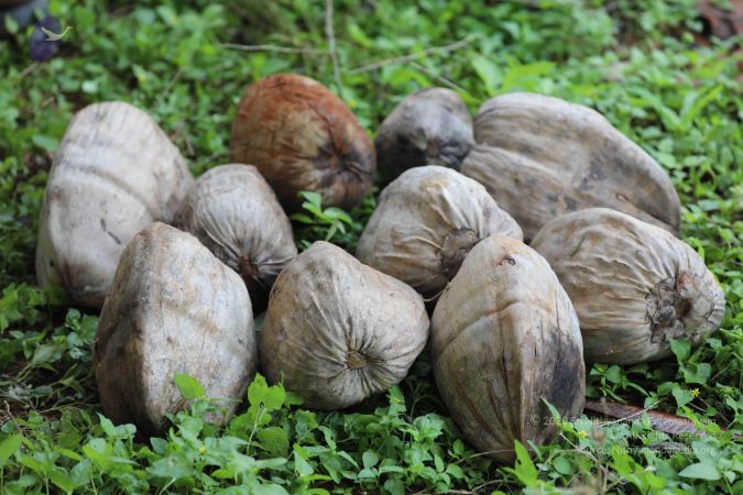 20180522 Photo 1075 11Hbgcce9JsSqdn Pwjja6lHx-R4QArlB.JPG