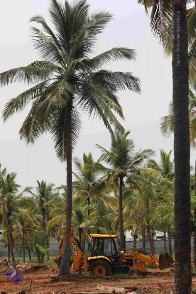 File:20180524 Photo 1333 15pzWqdit cuFAXw1Jgs1gjVWTGJeh8vR.JPG