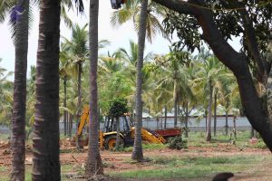 20180524 Photo 1342 1GeYj194nOCsnlMHTBn8u6ZdOxoYgXd4c.JPG