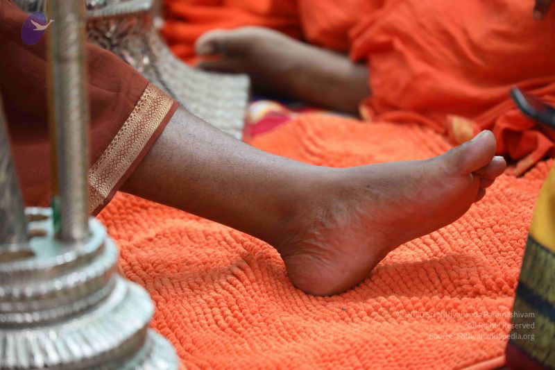 File:20180524 Photo 1454 1 -HiHiwytaSRFV-Bn8wZERYY y5l8vQv.JPG