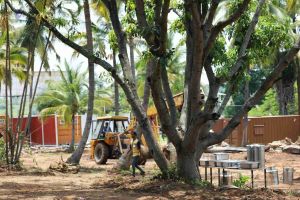 20180524 Photo 211 1dGFPwkTvowOYuFeoIcDjhdxUxmpqzbMJ.jpg