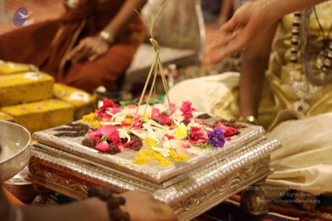 20180524 Photo 2342 1x2aqA1jRnWyKBiO-5Sbi7eamWYVk0up2.JPG