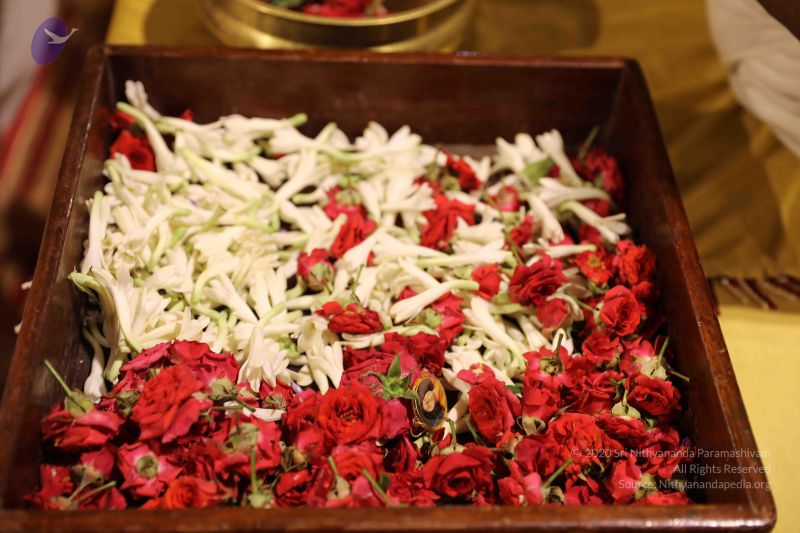 File:20180524 Photo 2352 1ERcyCzq6xiDZbpsRYbuTg0I5DEclAYB2.JPG