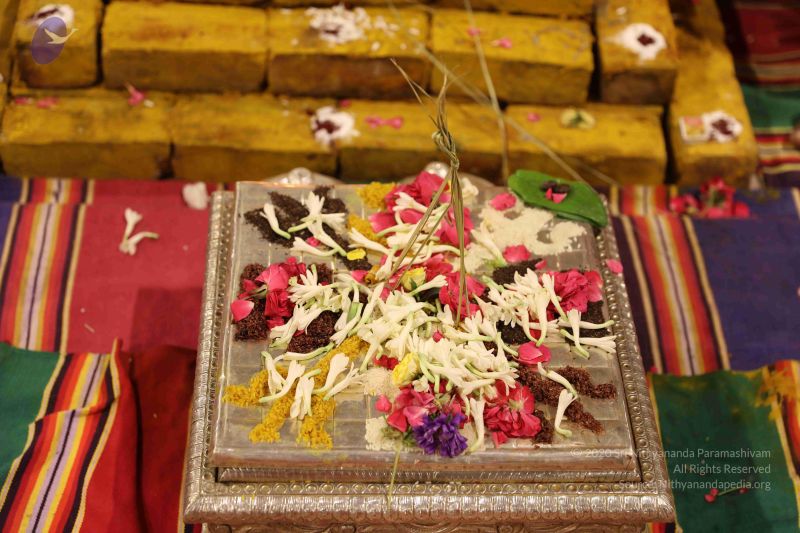 File:20180524 Photo 2369 1Ycj27 KJUJEq1piejmGZcCFmmf2IulE2.JPG