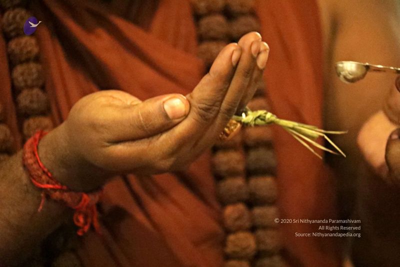 File:20180530 Photo 200 1DlBrJK4wO8jddyhuYrUNW75i0nDF9t6D.jpg