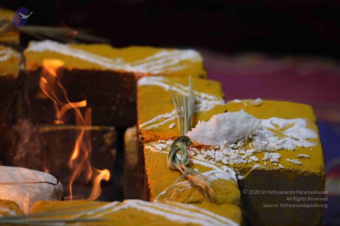 20180604 Photo 1029 1YoeeiWQHTtbvlMDVEfDEG3XBpqc8XrBA.JPG