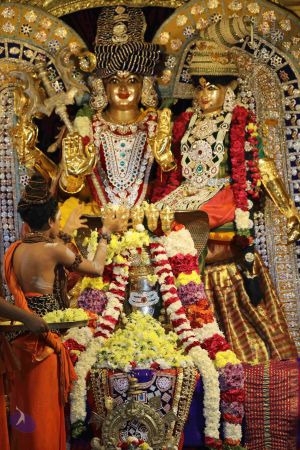 20181220 Photo 1171 1pSn7PZ2tUEWLqr28BSlR4rvdD9AVLaLs.JPG