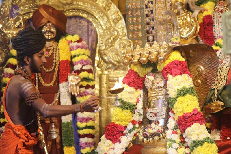 File:20181222 Photo 1112 1XApNsn6b5N0czvzccm6vVVSsmJhdVi8g.JPG