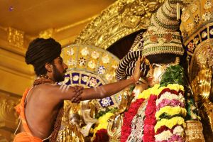 20181222 Photo 199 10B20wEdNpy7OHGoPyS 9C-mhOpg6xPz .jpg