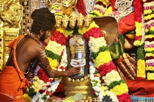 20181222 Photo 204 1yGMaHTRBv6X029bjt m78GFRt0LRp wI.jpg