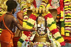 20181222 Photo 211 14Csc8aGeJ9ZCIybqAbvnXZSMO3hgYgdB.jpg