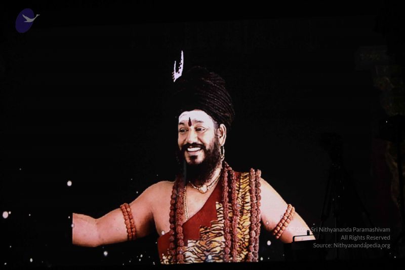 File:20181226 Photo 1011 1xH2vMBqp3jr2CWrpP6zJTnRuYOkC nlR.JPG