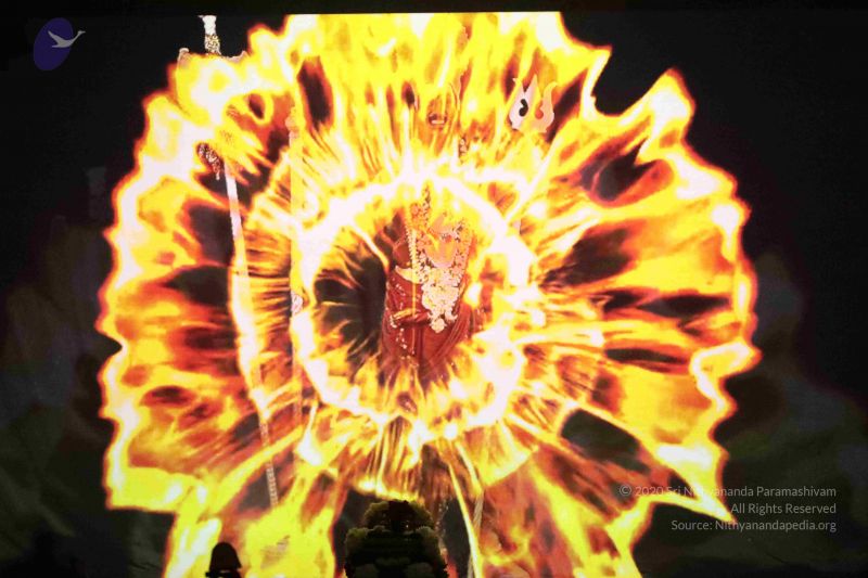 File:20181231 Photo 1057 1gPsrzOmGI3NEc1 ZDr6tgy0bGx7b0Yo4.JPG