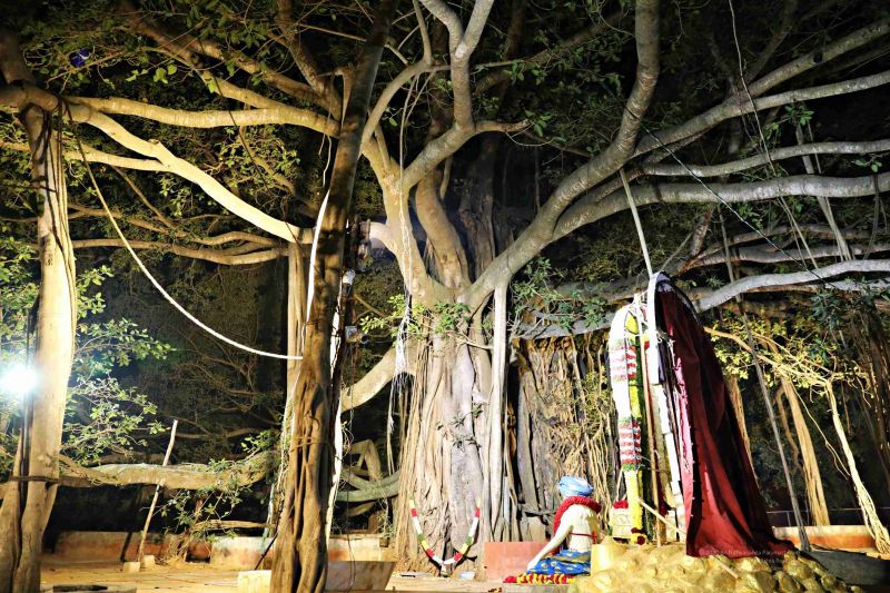 File:20181231 Photo 109 1d3CBgxARW-QKViSrgRE0VRGyeFiMev1r.jpg