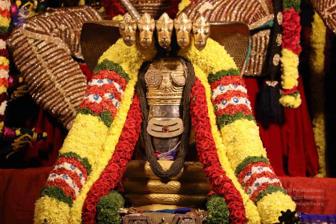 20181231 Photo 1120 1tiy86EqWsEhVwutewMR3 xQ-DZqDd5uX.JPG