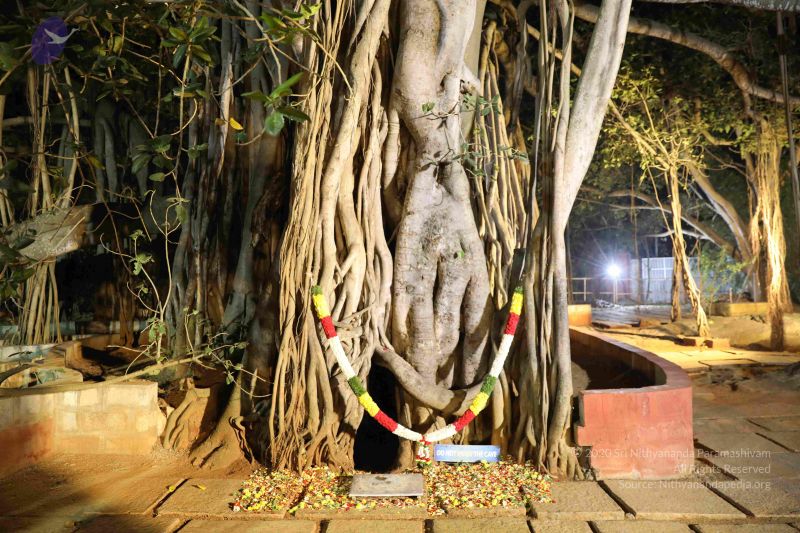 File:20181231 Photo 1121 1l0s7Z5GNhIqUD1TmdD XOuuFgBrdUnmZ.JPG