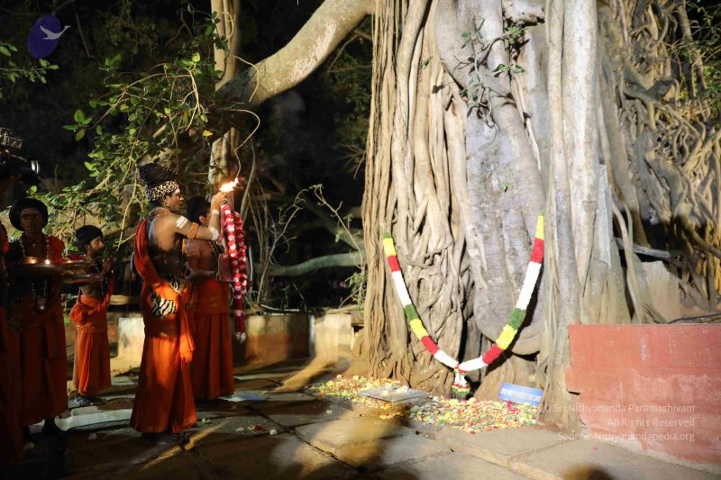 File:20181231 Photo 1153 1NZm-UUxeh8fbYf932dhiU F3EgZiepew.JPG