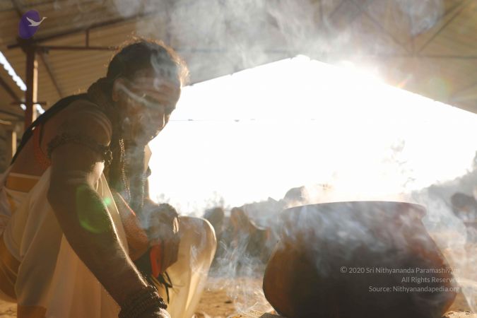 20190116 Photo 1025 1Uvg6KYL7BULYtlMXjmS8k1IUl7jnBy7D.JPG