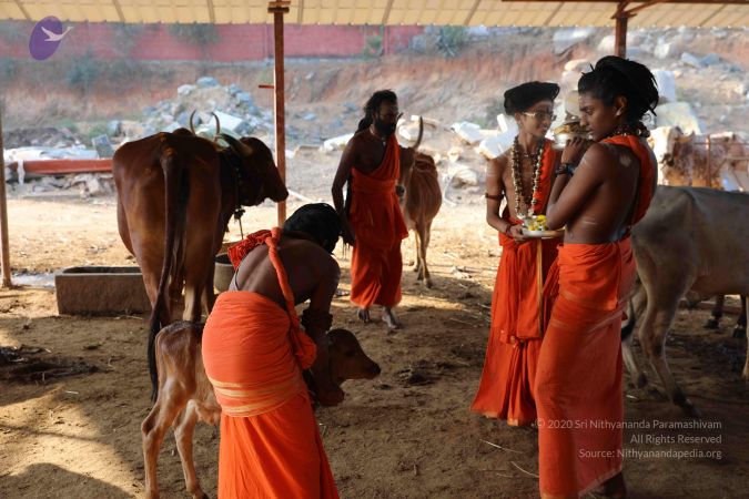 20190116 Photo 1052 1 HAjRHMooqopM5rCytEgYATKp60WsQ s.JPG