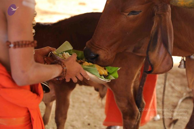 20190116 Photo 1066 18P20i4 AG4LbCBPFP0kPhaR1lZHuYw3n.JPG