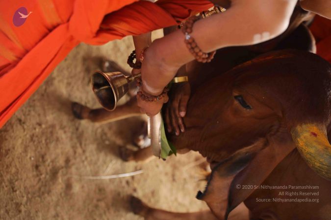 20190116 Photo 1069 1q9JZNCYr7biQJYBzik6khT VbsEq9lwO.JPG