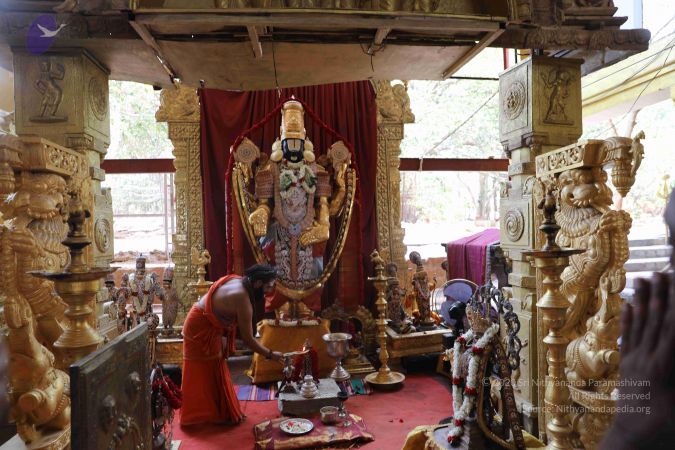 20190407 Photo 1045 1FHjfyhnTf2yJ5tBHr7RbSstdNFaXXWDV.JPG