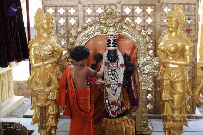 20190407 Photo 1082 1hIocrCcyuDZcivIMlms9dl6q4p7qldGn.JPG