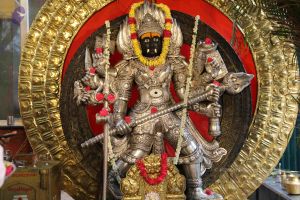 20190429 Photo 1005 1ExLXm60bkbPfjWKOkb1PLvfkVq6JTfeY.JPG