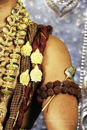 20191028 Photo 1018 1gIRMVRqyGJRZdM-DhoT1IFxmffsTlC06.JPG