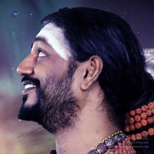 File:20191031 Photo 1024 1dTr5uT6ZevkkN6UxJsDGiLEALxcRyebB.JPG