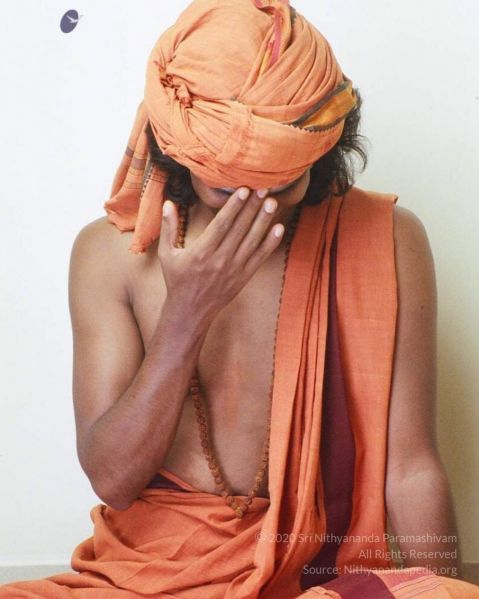 File:20191031 Photo 1027 1puof0C3uN4ORGu-v03fZidqcs2sIrBIC.JPG