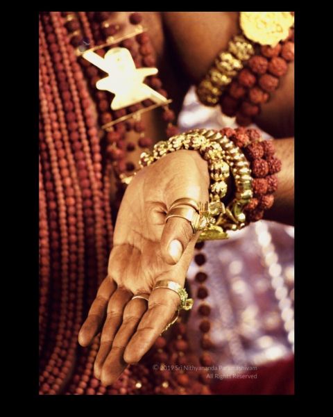 File:20191110 Photo 1003 1BTScoRnFELqABKvMYm03u8qhX FpCAOQ.JPG