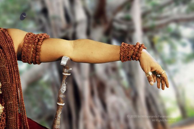 20200102 Photo 5 11CkcaMkwwkcEOcAJAKZX5ZejDW4S-swN.jpg