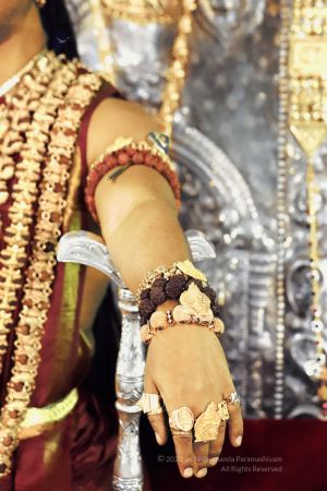 20200115 Photo 1017 1WshNlnPbZRpEM-TsZVyeVnT04vpkgvQk.JPG