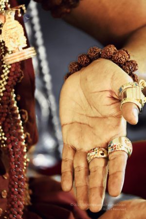 20200126 Photo 23 1fzDlwUhSb1oHj5FwcqMyHSA jY- CpKa.jpg