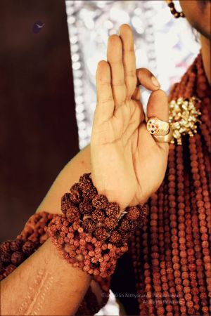 20200201 Photo 1008 15UnpIL88XlNkGMD4Y34wPqZ9IrziZu 3.JPG