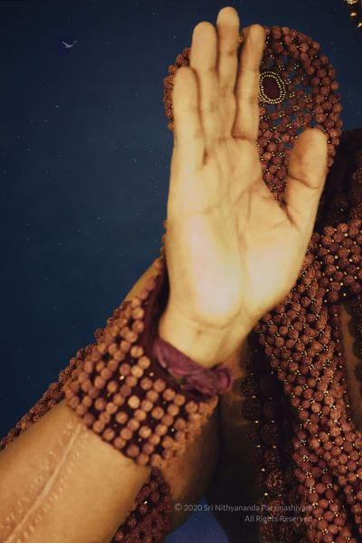 File:20200221 Photo 90 1hgMyRP22laJELtrKPbJpfgu4yNZomWcL.jpg