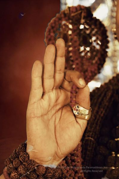 File:20200225 Photo 11 1d H3mWZ6Q6Ji4pMACZJFusIq70cjw7zm.jpg