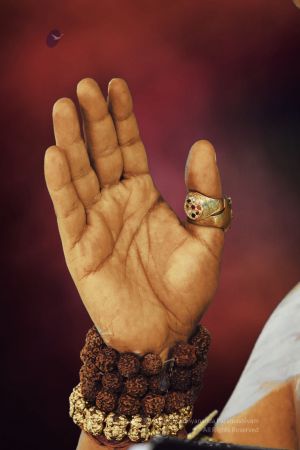 20200228 Photo 1074 1KFBO-PqlqZWcPDKBCRwxALIj9G6qONbs.JPG