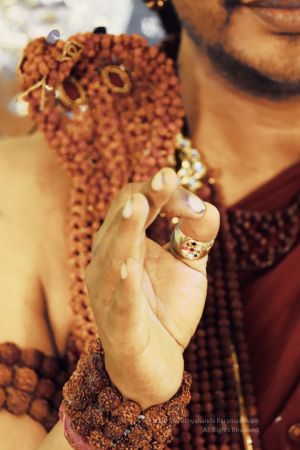 20200228 Photo 1077 11B7S5Ak8k0bGu8oGGMQbliem7JzSsO4L.JPG