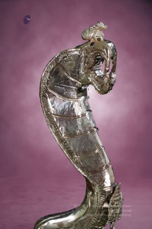 20200304 Photo 1015 1A26n jOsCUmp-wgv1wOkHQwdLKhnTwZI.JPG