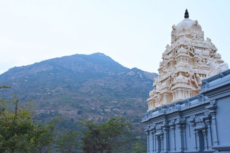 File:20200306 Photo 60 1q0Cm3GfqbWPwAJnI9kwjilv5E68eatkw.jpg