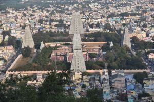 20200307 Photo 53 1TZkw3wxcI176nzvN7HxJD YlHt2XBim1.jpg