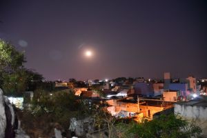 20200309 Photo 21 1dRBvUy8Gpc4UQfDmYSFfNn54mv2hvtkA.jpg