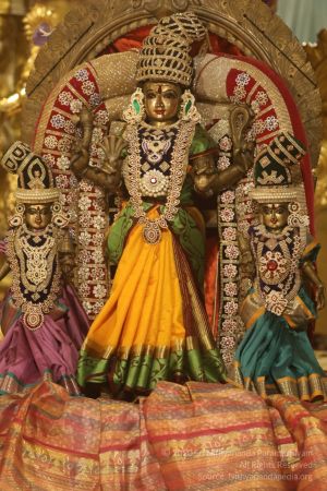 20200313 Photo 1008 14rTykv3IZW-7fNO8N1fbIHLeg8c2MBXX.JPG