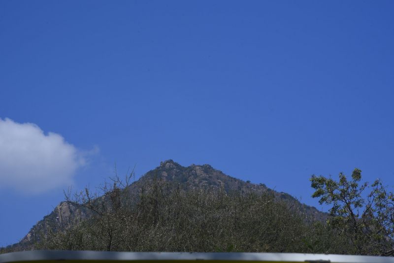 File:20200313 Photo 29 18-FlVHlEzV9H0uqEtNHBMaUKP2sf5Tt-.jpg