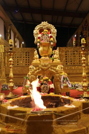 20200315 Photo 1007 1Dx4DzMtoDYZfd 8WH1ZPSJEfPw5UUGlq.JPG