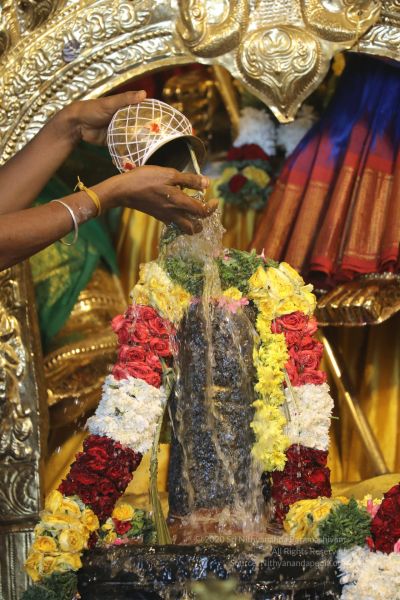 File:20200316 Photo 1005 1sfMxt43RbHGOmCIAwjoMG7-CXmY0o5sF.JPG